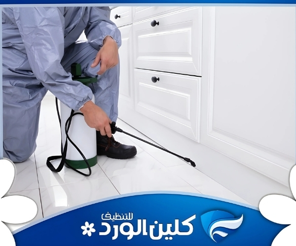 أفضل شركة رش مبيدات شمال الرياض بخدمة فورية 4 شركة رش مبيدات شمال الرياض